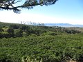 IMG_7953