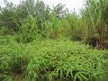 IMG_8013