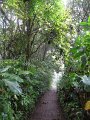 IMG_8111