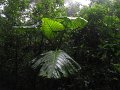IMG_8112