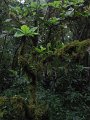 IMG_8114