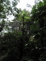 IMG_8120