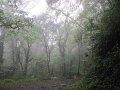 IMG_8126