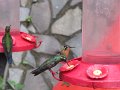 IMG_8247