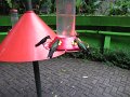 IMG_8256