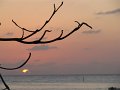 IMG_9106