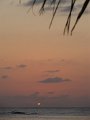 IMG_9107