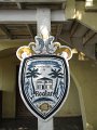 IMG_9126