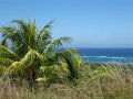 IMG_9171