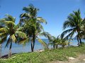 IMG_9177