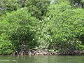 IMG_9208