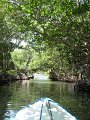 IMG_9224