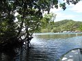 IMG_9227