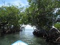 IMG_9234