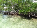 IMG_9236