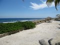 IMG_9261