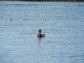 IMG_9309