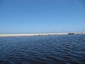 IMG_9378
