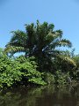 IMG_9389