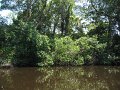 IMG_9392