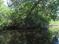 IMG_9393