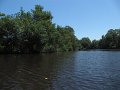 IMG_9397