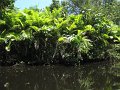 IMG_9402
