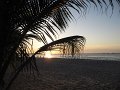 IMG_9426