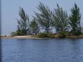 P1020028