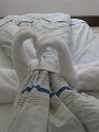 IMG_8396