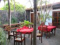IMG_8398