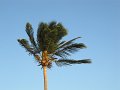IMG_8410
