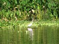 IMG_8675
