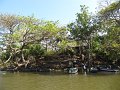 IMG_8680