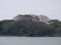 P1010428