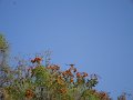 P1010549