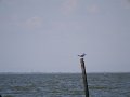 P1010555