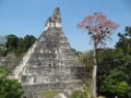 Guatemala