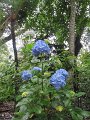 IMG_6325