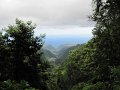 IMG_6450