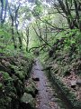 IMG_6480