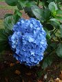 SAM_3851
