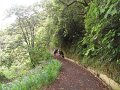 SAM_3870