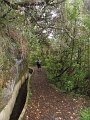 SAM_3872