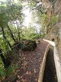 SAM_3874