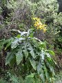 SAM_3879