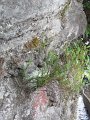 SAM_3884