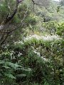 SAM_3915