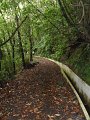 SAM_3921