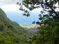 SAM_3922